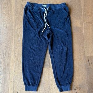 Marine Layer Dark Blue Joggers